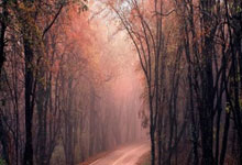 九游体育：2025年01月11日球会友谊华沙莱吉亚vs克卢日历史战绩，交战记录，比分预测.