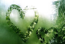 2017年11月9日以来，荷兰首发阵容首次无荷甲球员.